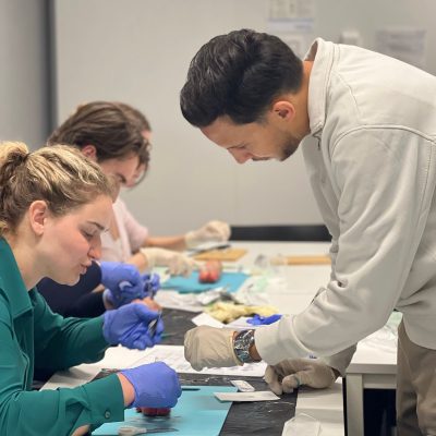 WhatsApp Image 2026-04-08 at 15.22.08